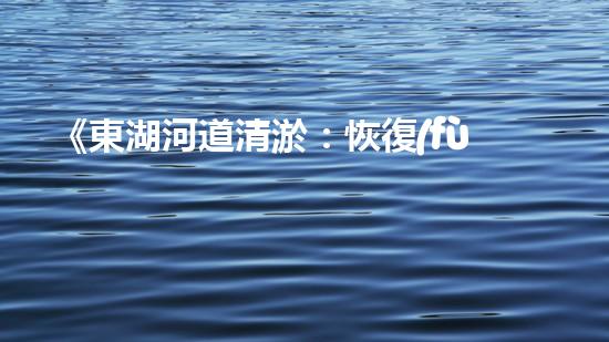 《東湖河道清淤：恢復(fù)水域生態(tài)，保障城市安全》